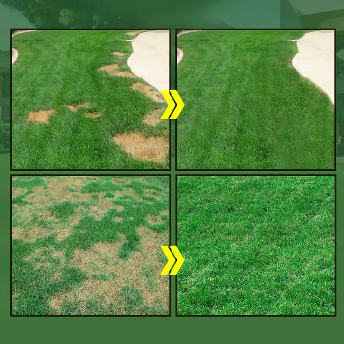 Hydro Seeding Lawn Solution