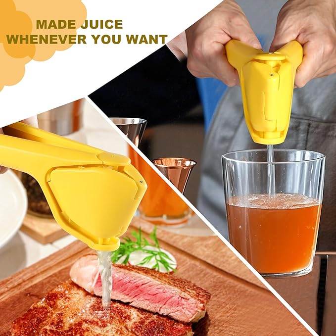 Citrus Squeezer