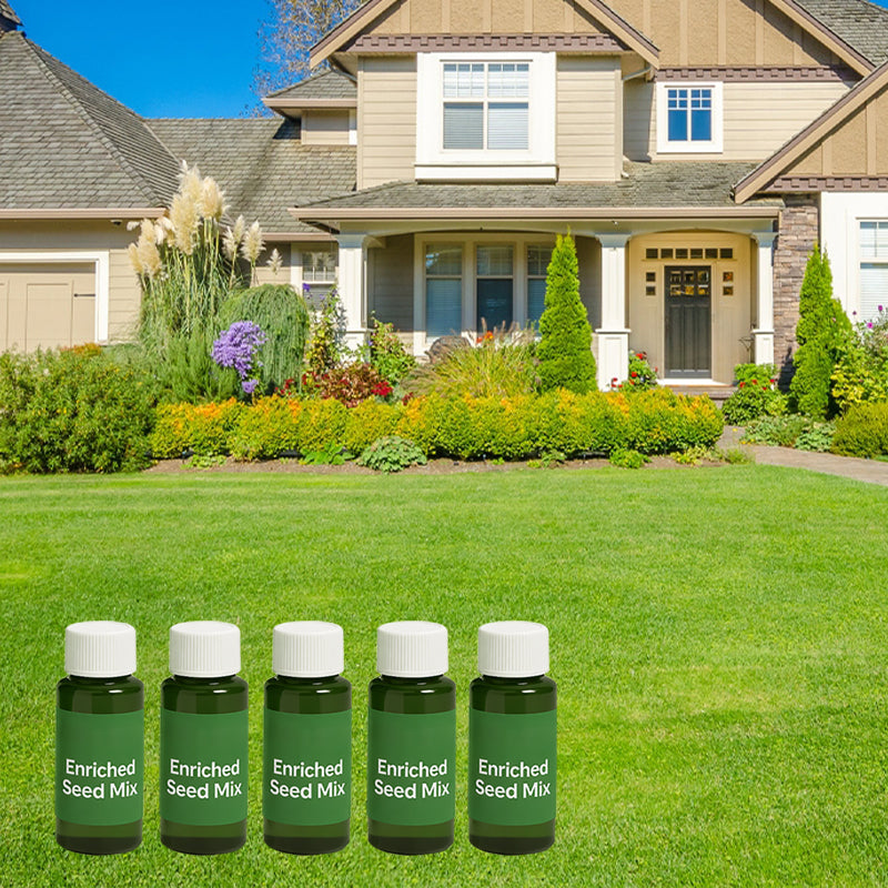 Hydro Seeding Lawn Solution