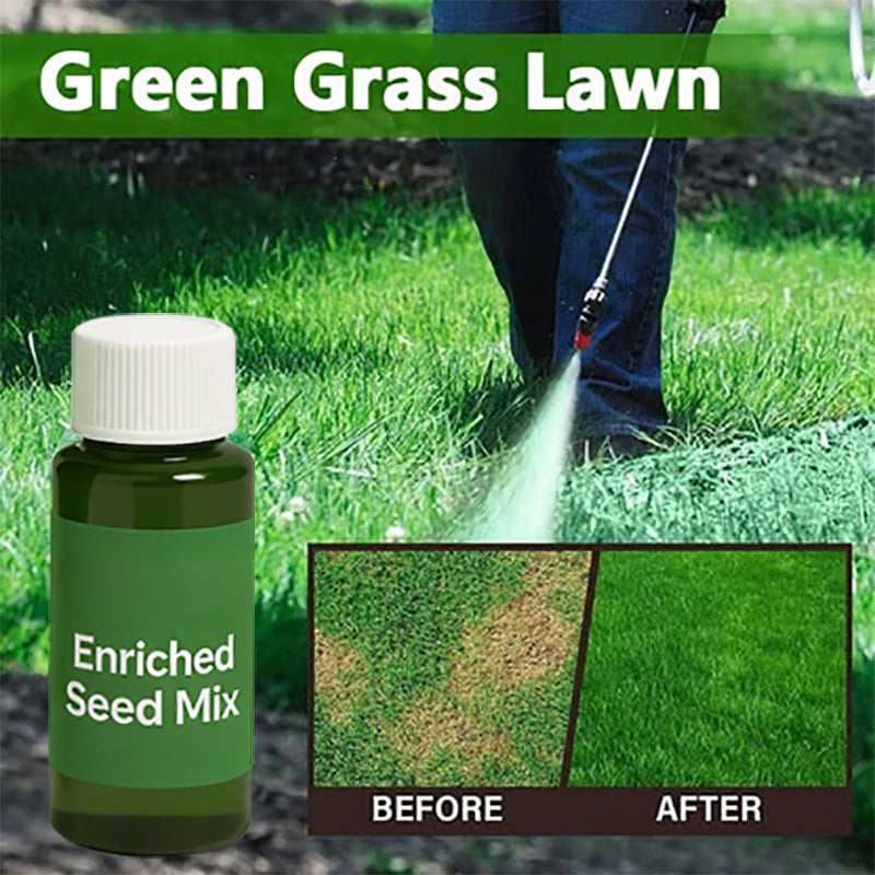 Hydro Seeding Lawn Solution